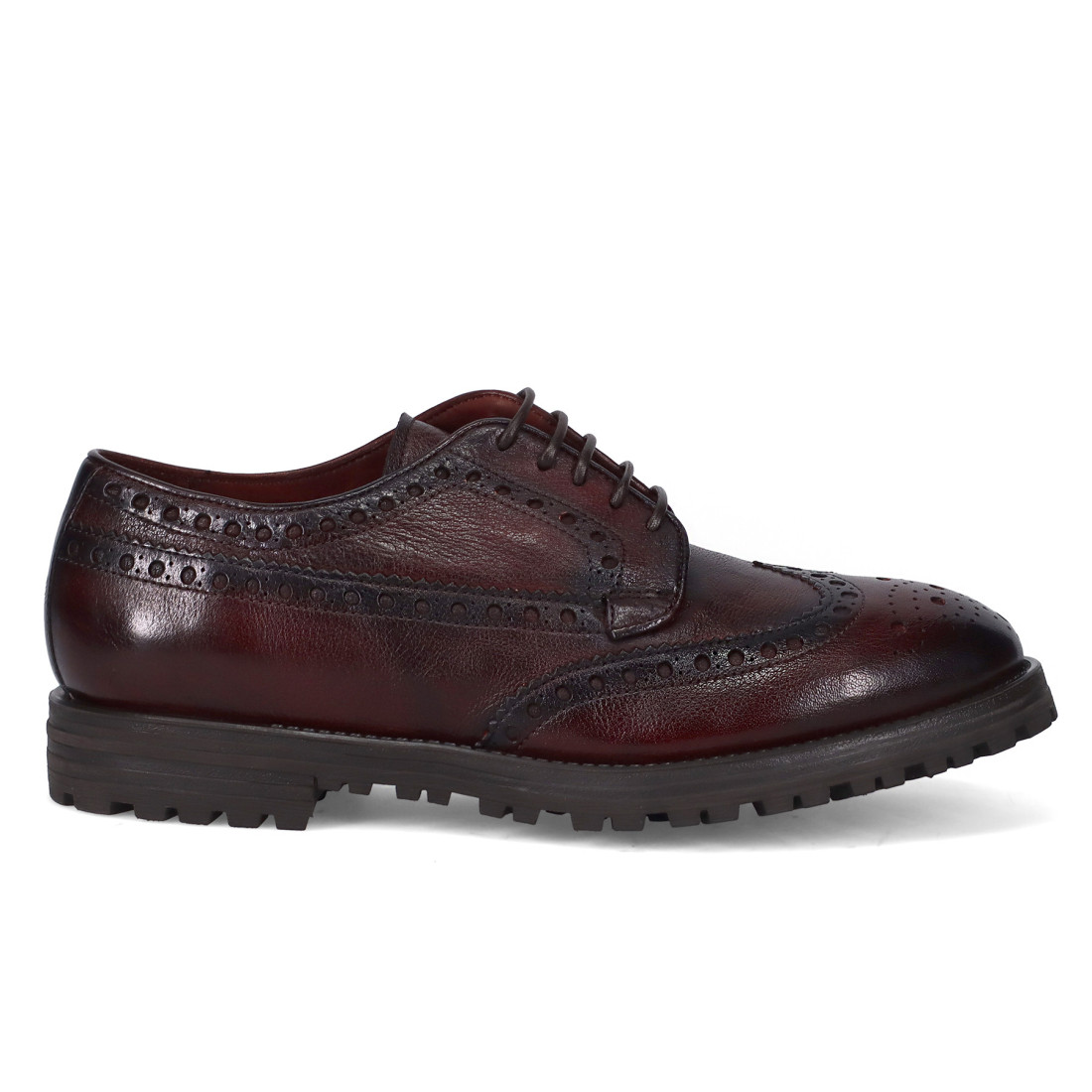 Sturlini derby brogue shoe in burgundy leather