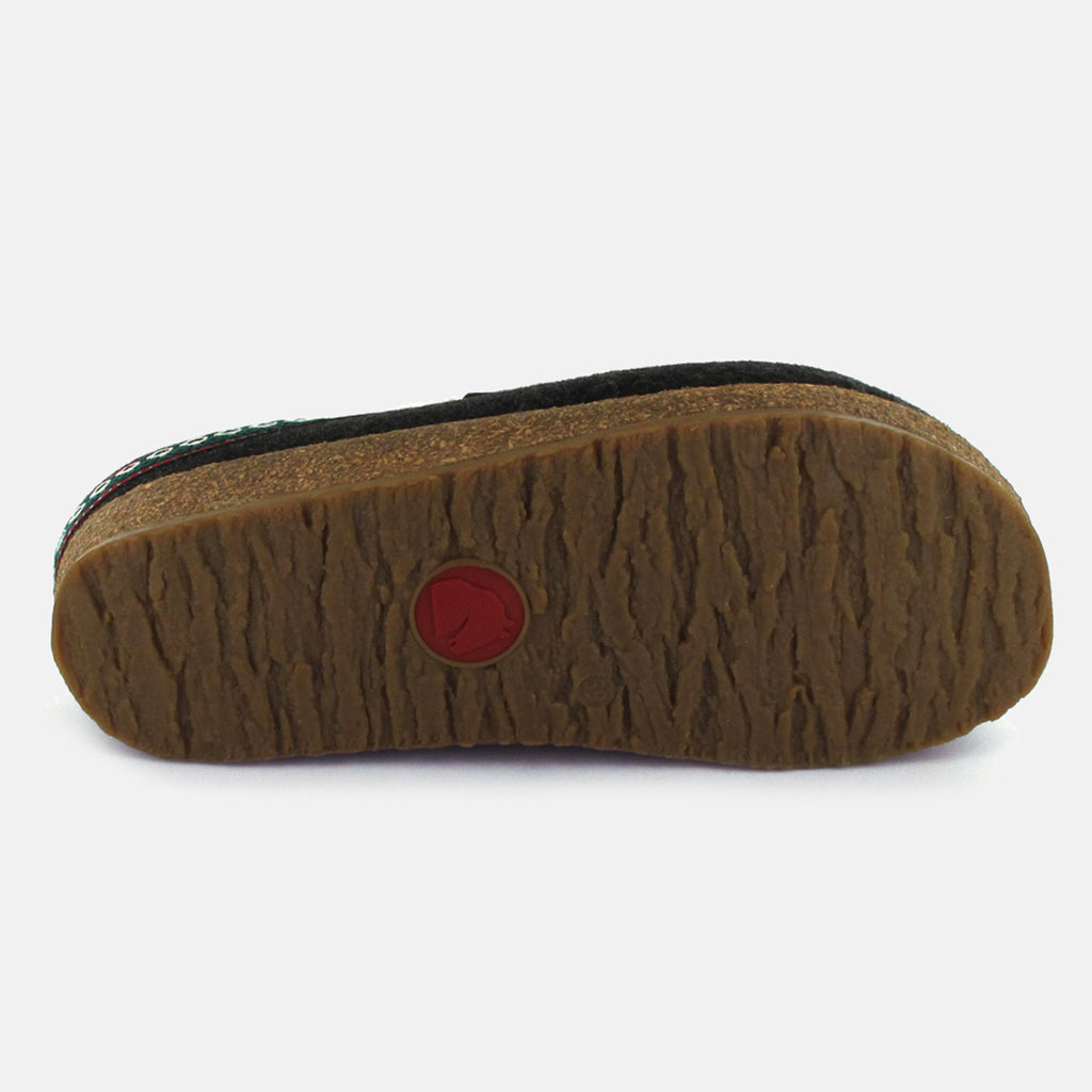 AI21---haflinger---FRANZL71100135 EIBE()_2_P