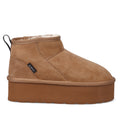 AI23---adno---AOW140000CHESTNUT