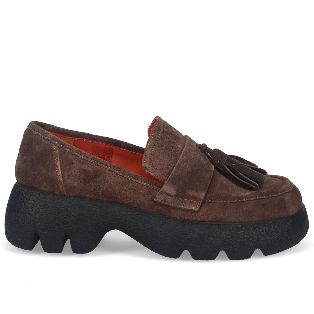 AI24---belle vie---CONOSENSORY QUINOA