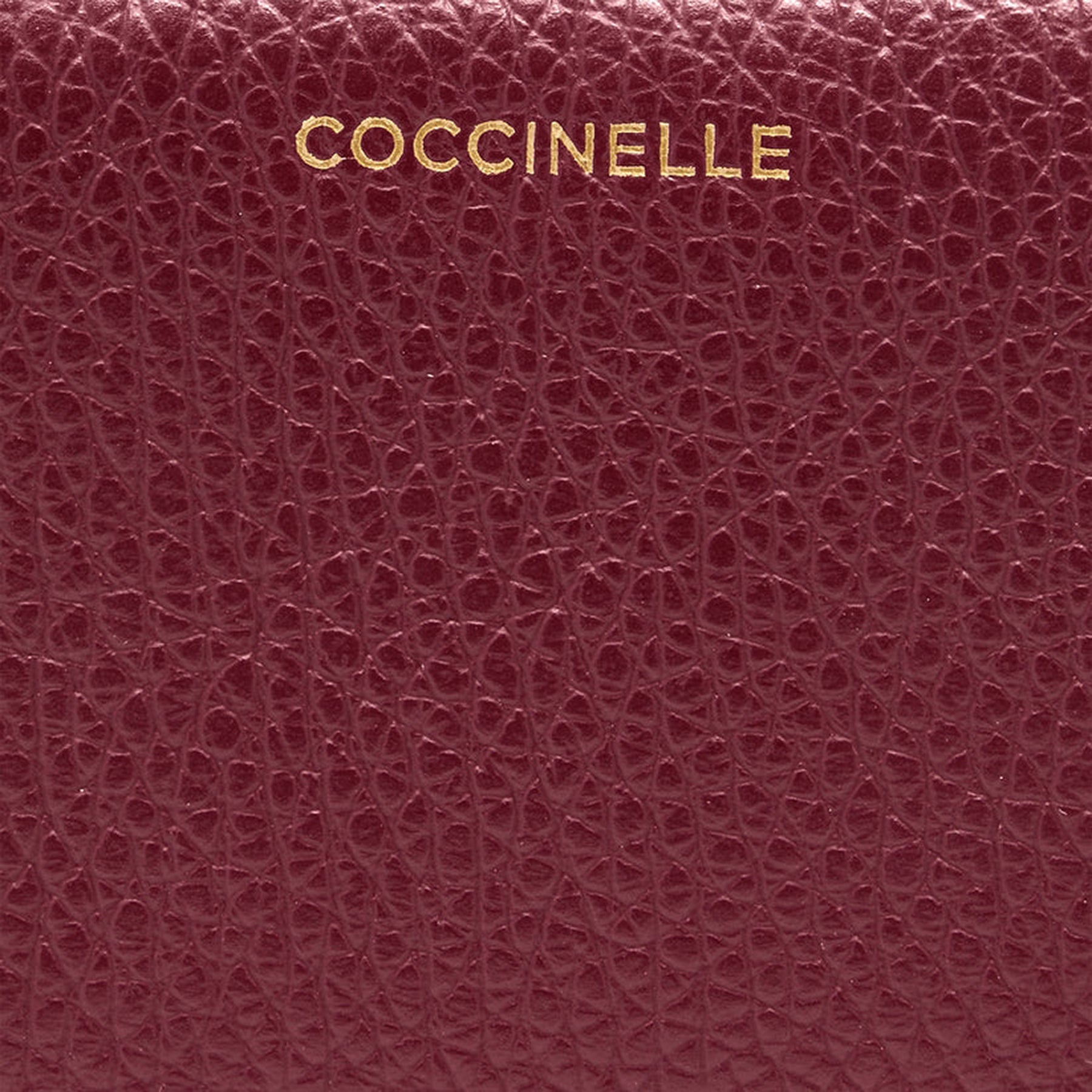 AI25---coccinelle---E2TBM11F301R52_2_P