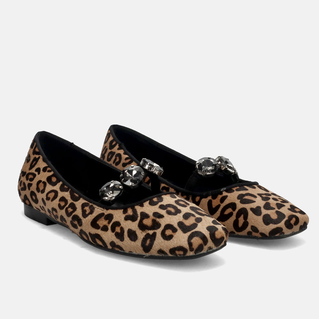 AI25---cristin---DIVA 1CAVALLINO LEOPARDATO_1_P