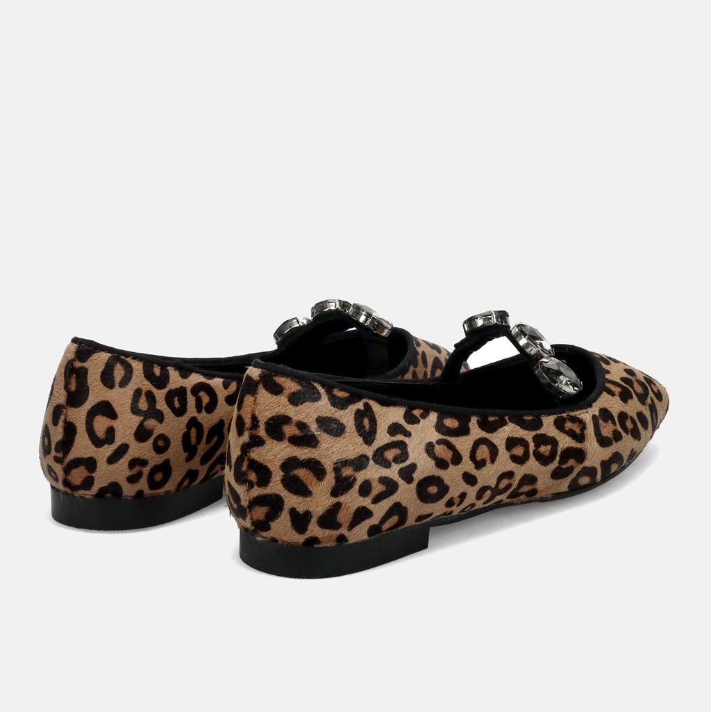 AI25---cristin---DIVA 1CAVALLINO LEOPARDATO_2_P