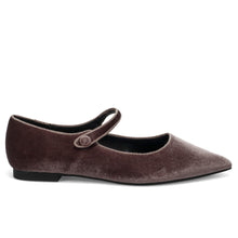 Dove gray velvet