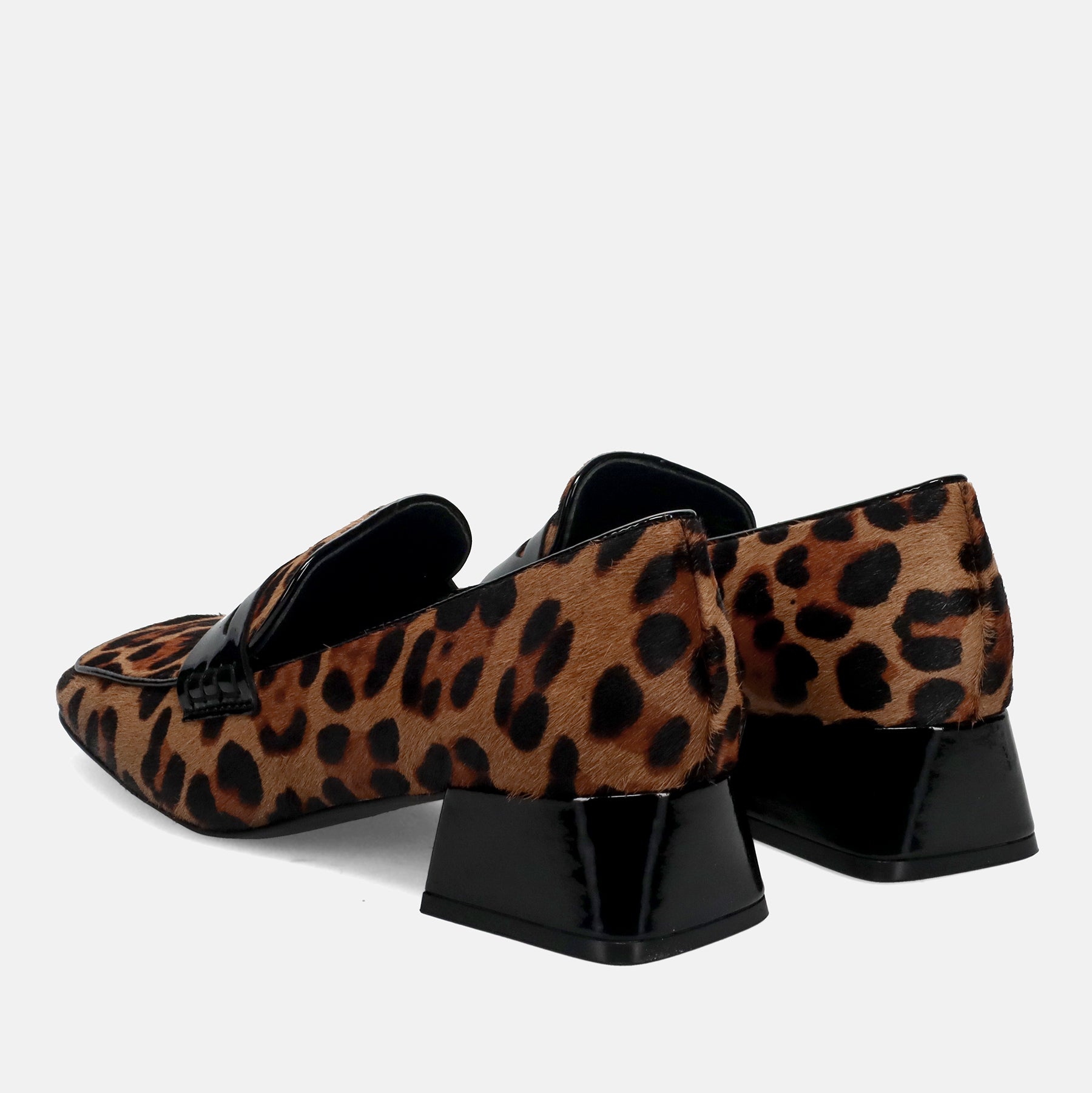 AI25---jeannot---501CAVALLINO MACULATO_2_P