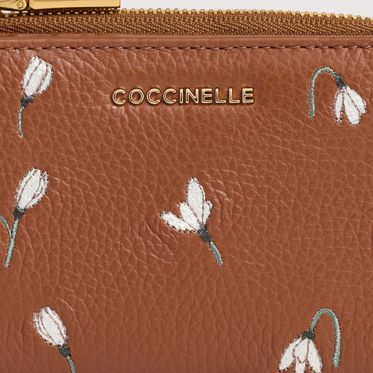 AI26---coccinelle---E2VWQ11D101W11_2_P