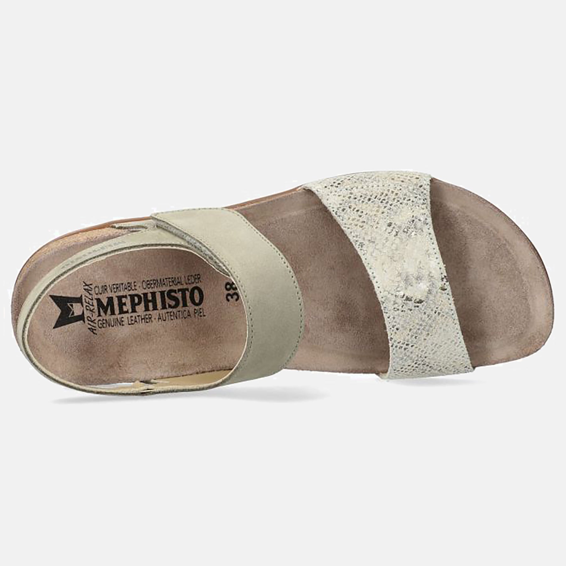 PE22---mephisto---AGAVEP5138798_3_P
