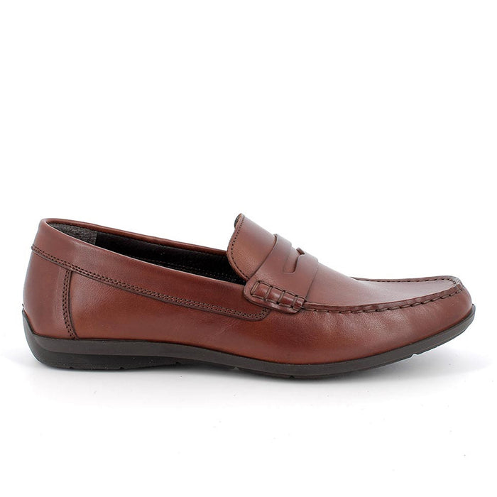 PE23---igi()co---3609522ALFA COGNAC