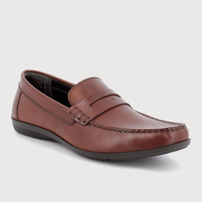 PE23---igi()co---3609522ALFA COGNAC_1_P