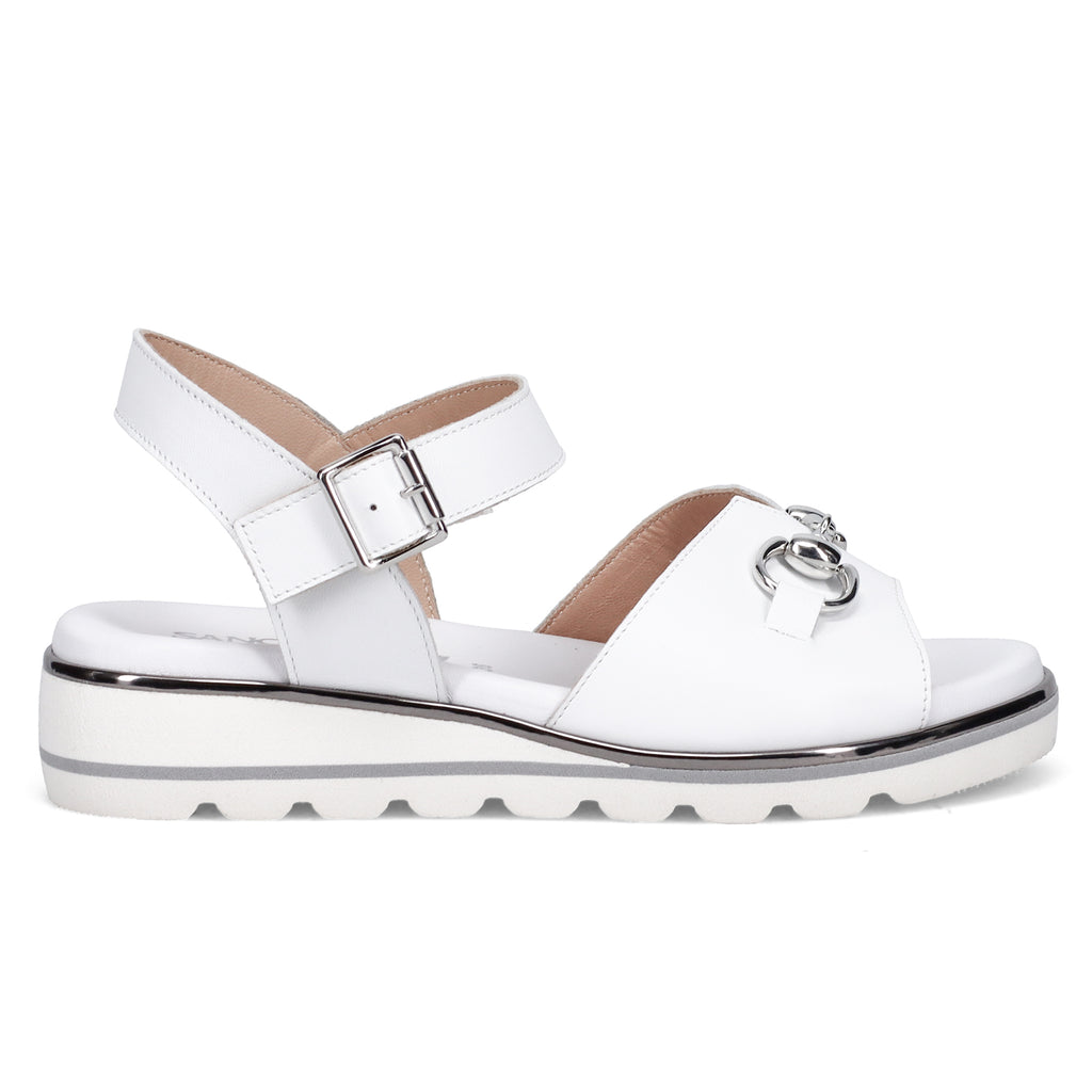 PE23---sangiorgio---106630