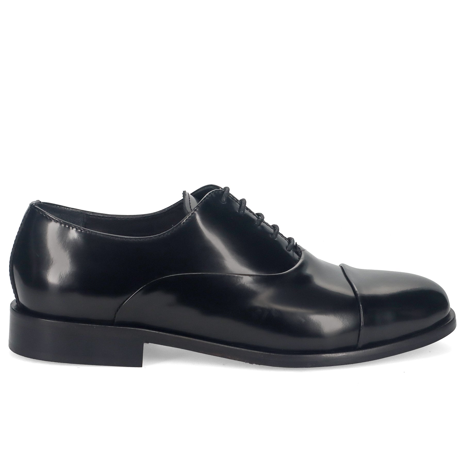 PE25---pawelks---22201REX NERO