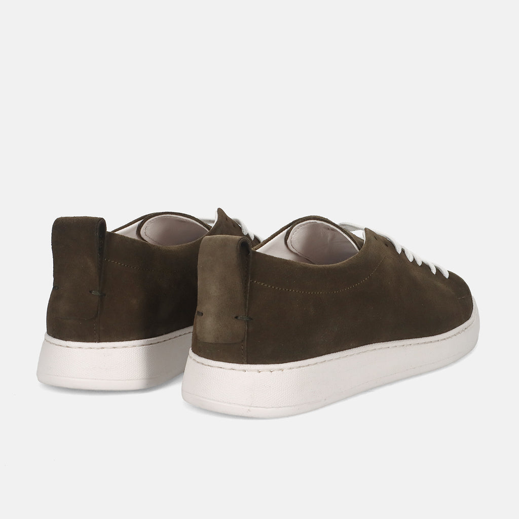 PE25---sangiorgio---GOLDENCAMOSCIO OLIVE_3_P