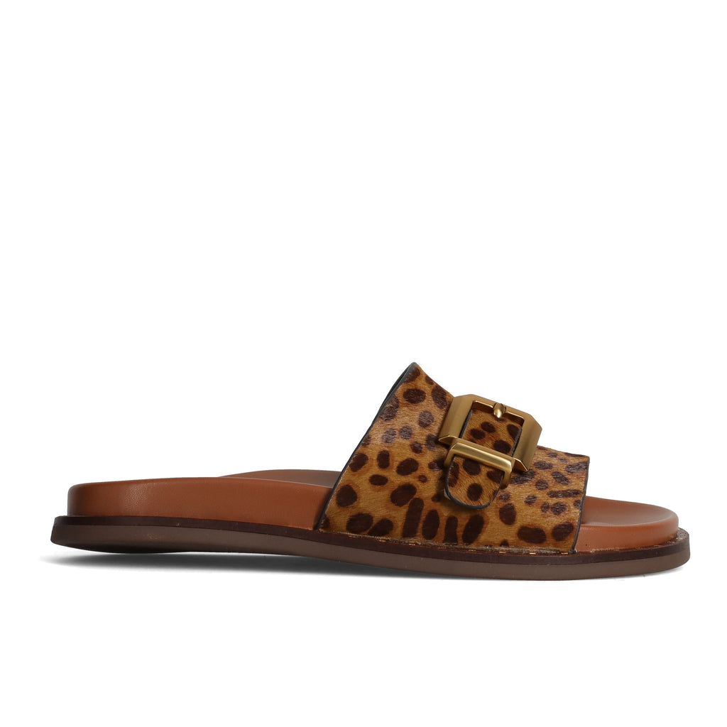 PE26---alpe---5577LEOPARDO