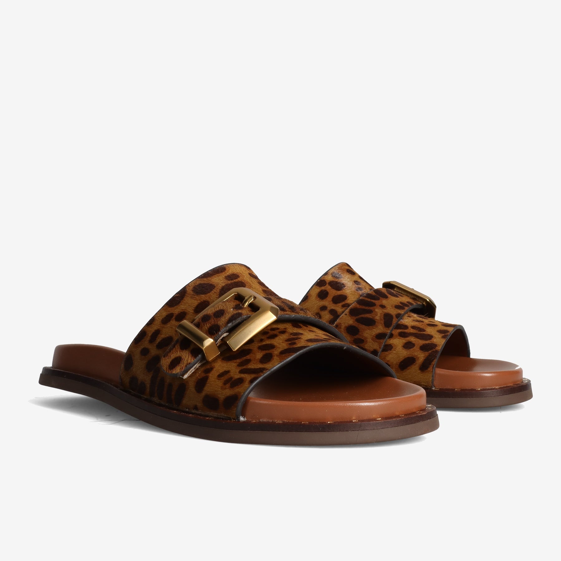 PE26---alpe---5577LEOPARDO_1_P
