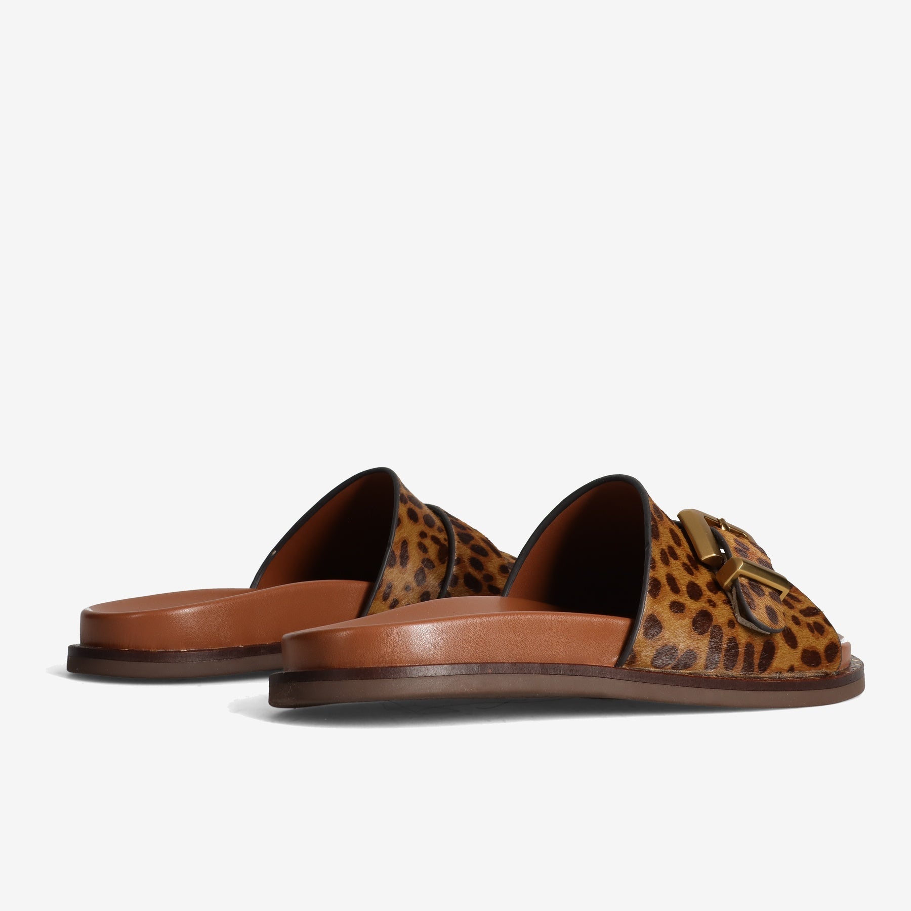 PE26---alpe---5577LEOPARDO_3_P