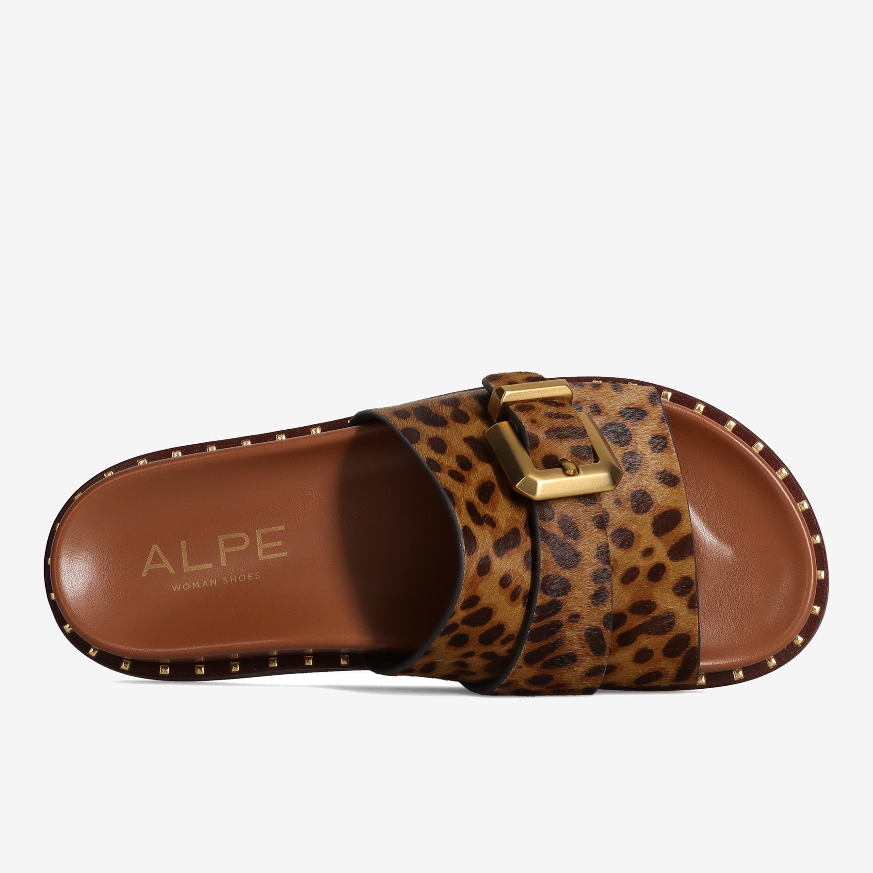 PE26---alpe---5577LEOPARDO_4_P