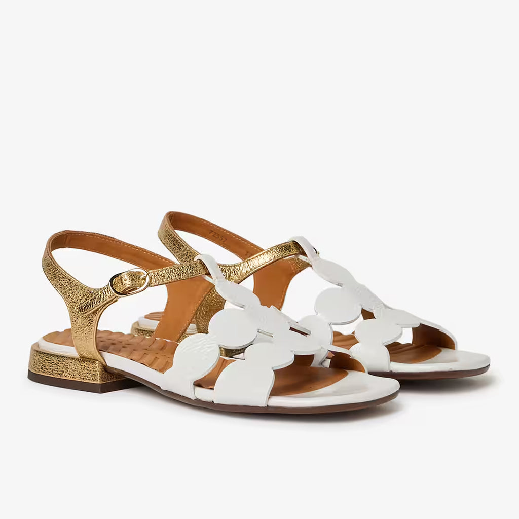 PE26---chie mihara---TYKA-MSUCRE BLANCO_1_P